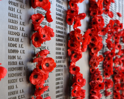 Красный мак - символ Дня перемирия в Бельгии