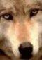 Profile picture for user ВБР
