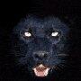 Profile picture for user Компатриот