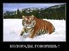 Profile picture for user Кашмарик