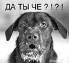 Profile picture for user Мариванна