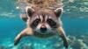 Profile picture for user Veronika_Bratislava
